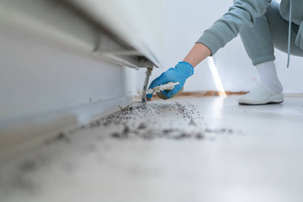 Professional Pest Control in Baden, PA